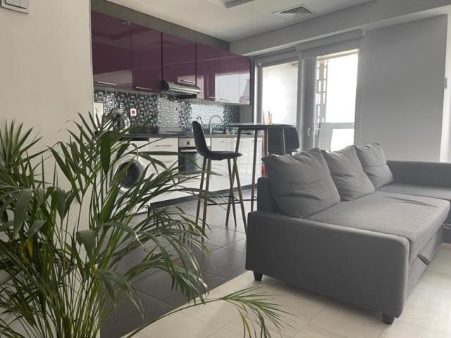 Cayan Tower Luxury Apartment With Sea View Dubaj Kültér fotó